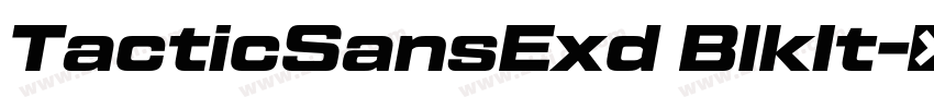 TacticSansExd BlkIt字体转换